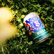 Load image into Gallery viewer, BUZZ 24 PACK 🍻