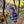 Laden Sie das Bild in den Galerie-Viewer, HERBSTBIER 24 PACK
