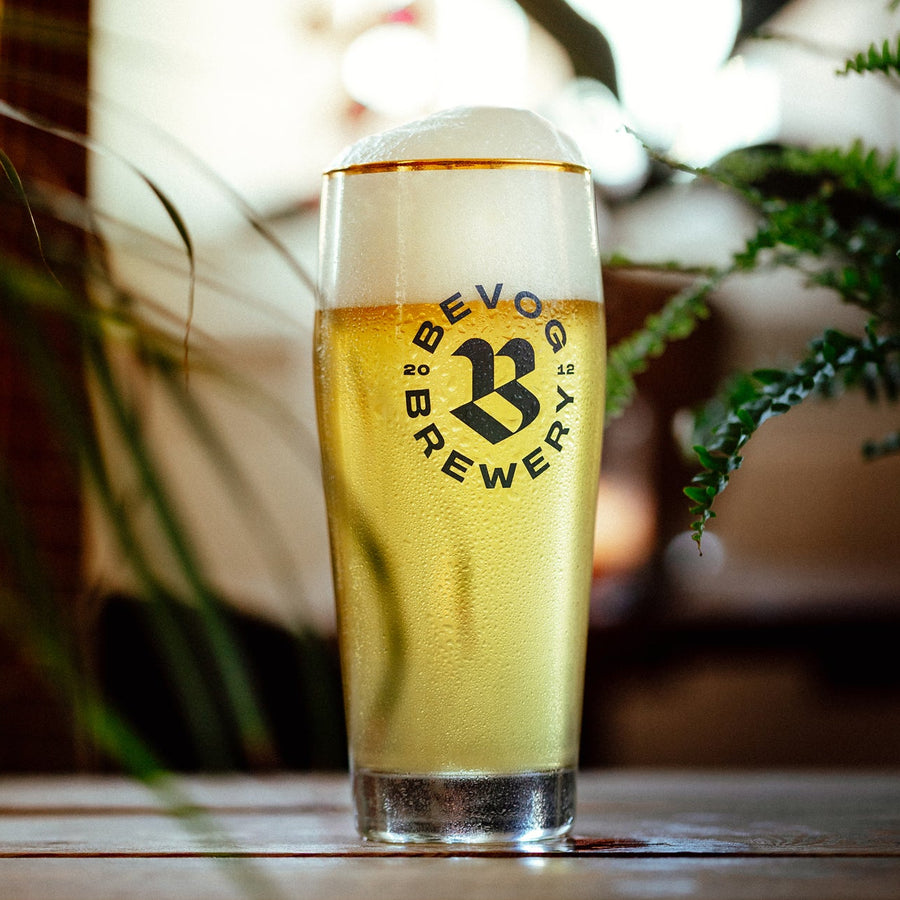 WILLY LAGER GLASS 0,5L