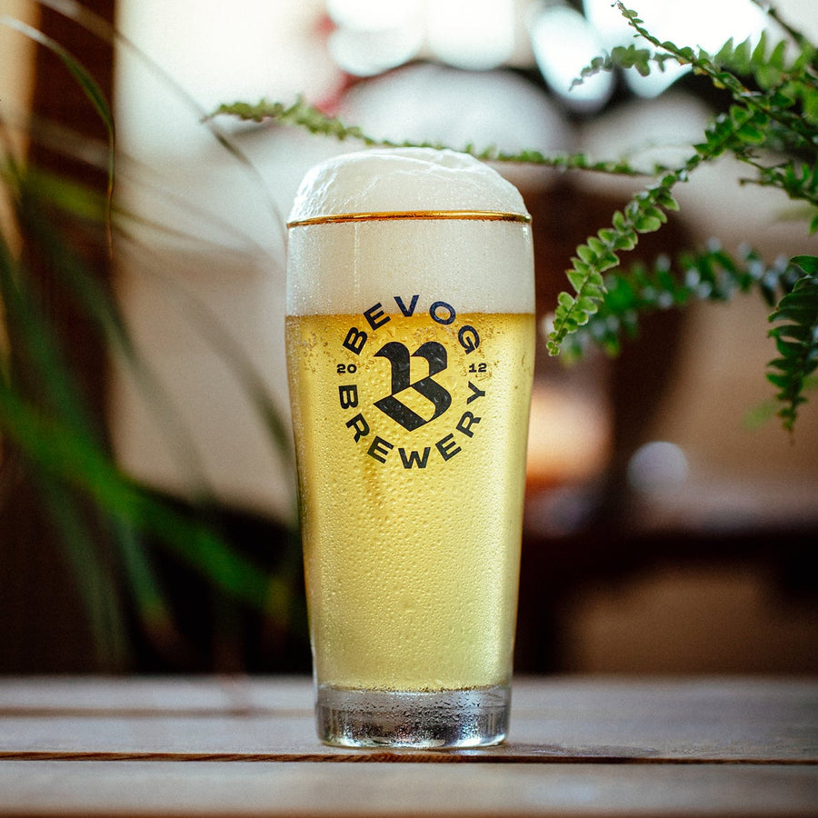 WILLY LAGER GLASS 0,3L