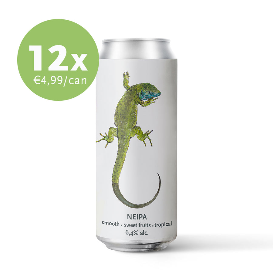 GREEN LIZARD 12-pack