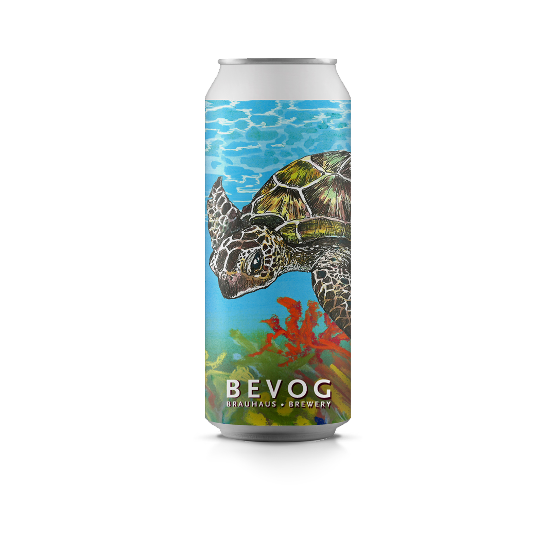 HAWKSBILL SEA TURTLE – Bevog